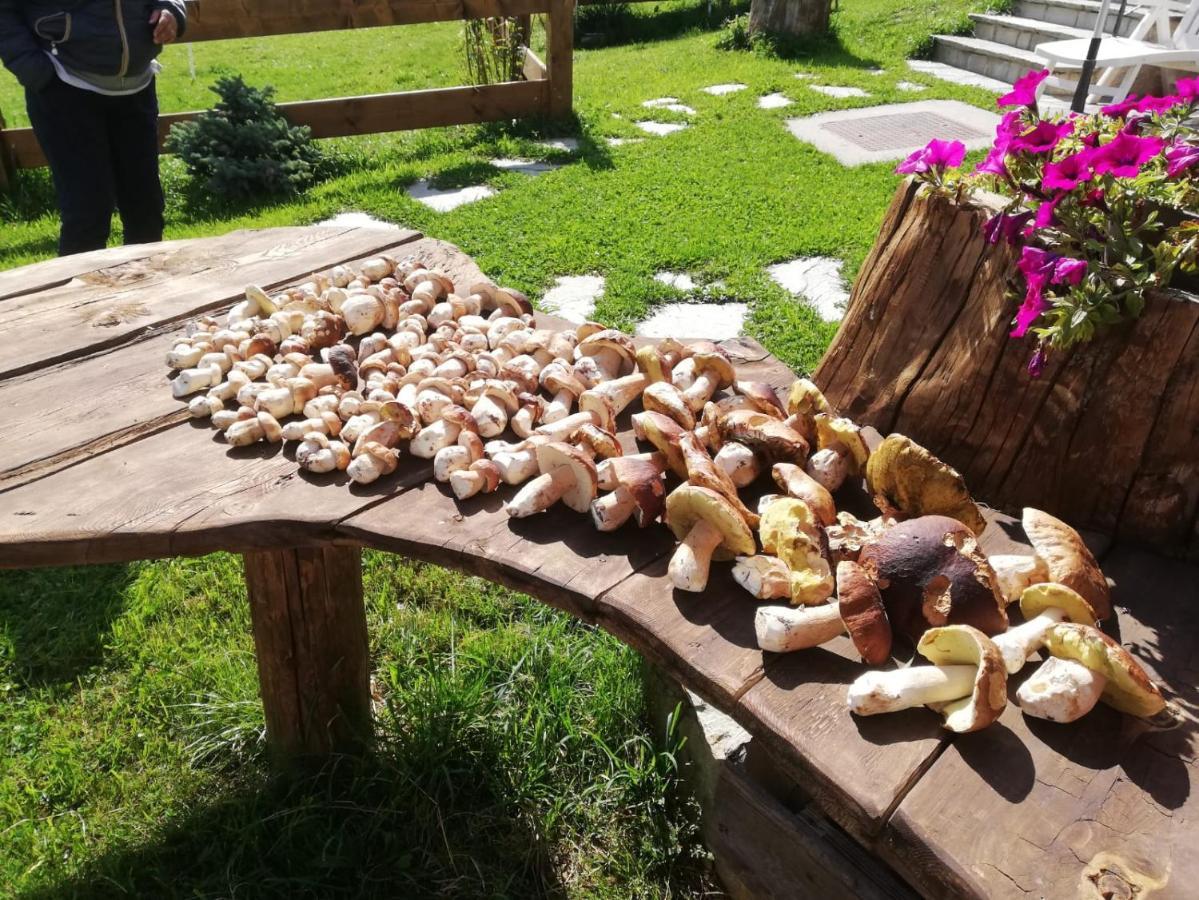 Chalet Pizabela Bait Da Pizabela Livigno Zewnętrze zdjęcie
